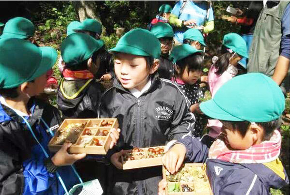森林做教室 带你看看世界各国的儿童自然教育